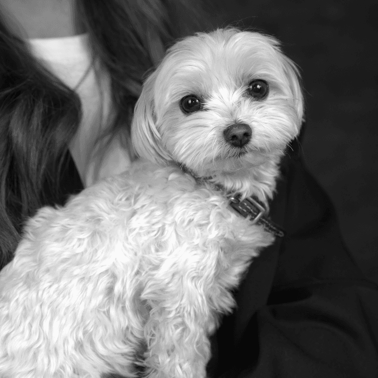 Medarbetar profil bild