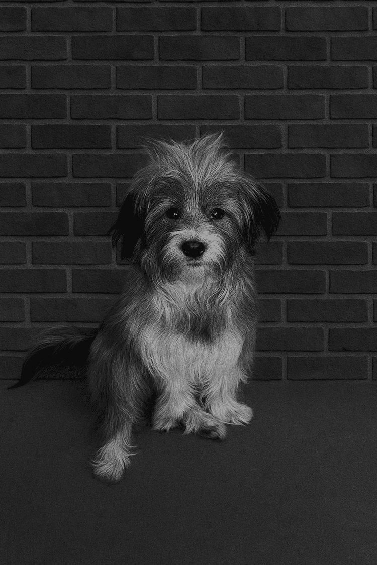 Medarbetar profil bild
